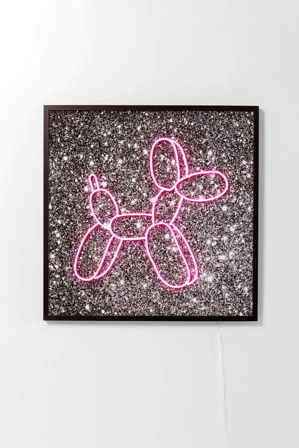 Balloon dog LED galleri Galleri