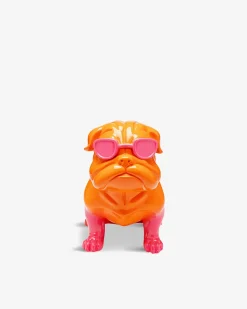Fashion dog Orange