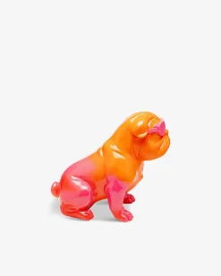 Fashion dog Orange