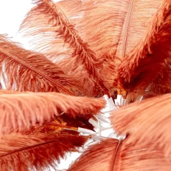 Feather palm bordlampe Rust