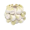 Figen vase Vase