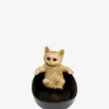 Kat i bad skål