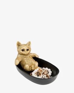 Kat i bad skål