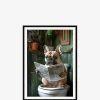 Mops på toilet galleri Galleri
