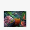 Paradise bird galleri Galleri