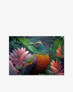 Paradise bird galleri Galleri