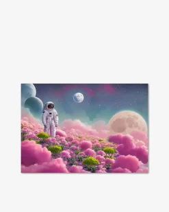 Space galleri Galleri